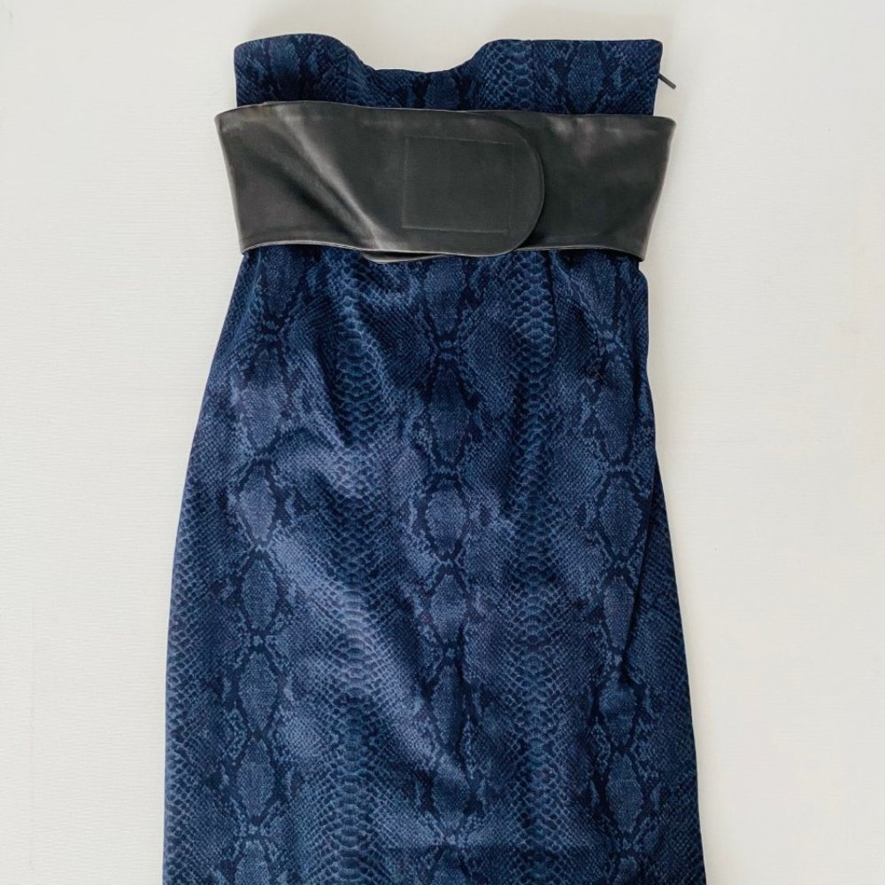 Christopher Kane Denim  Python Dress